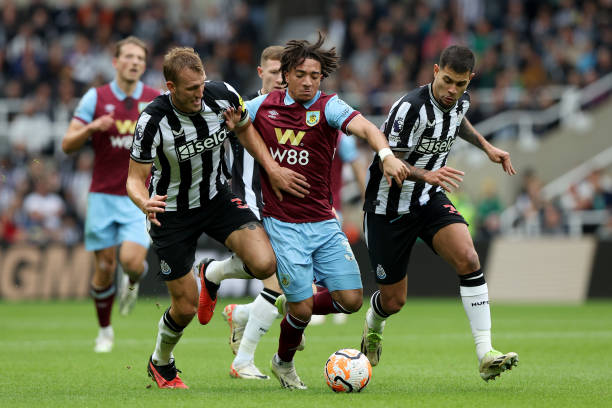 践呼应国家 践呼应国家