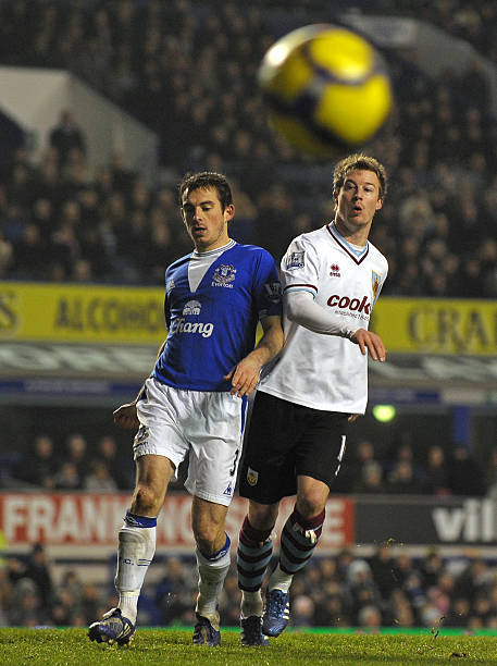 蓝狐般的强 蓝狐般的强