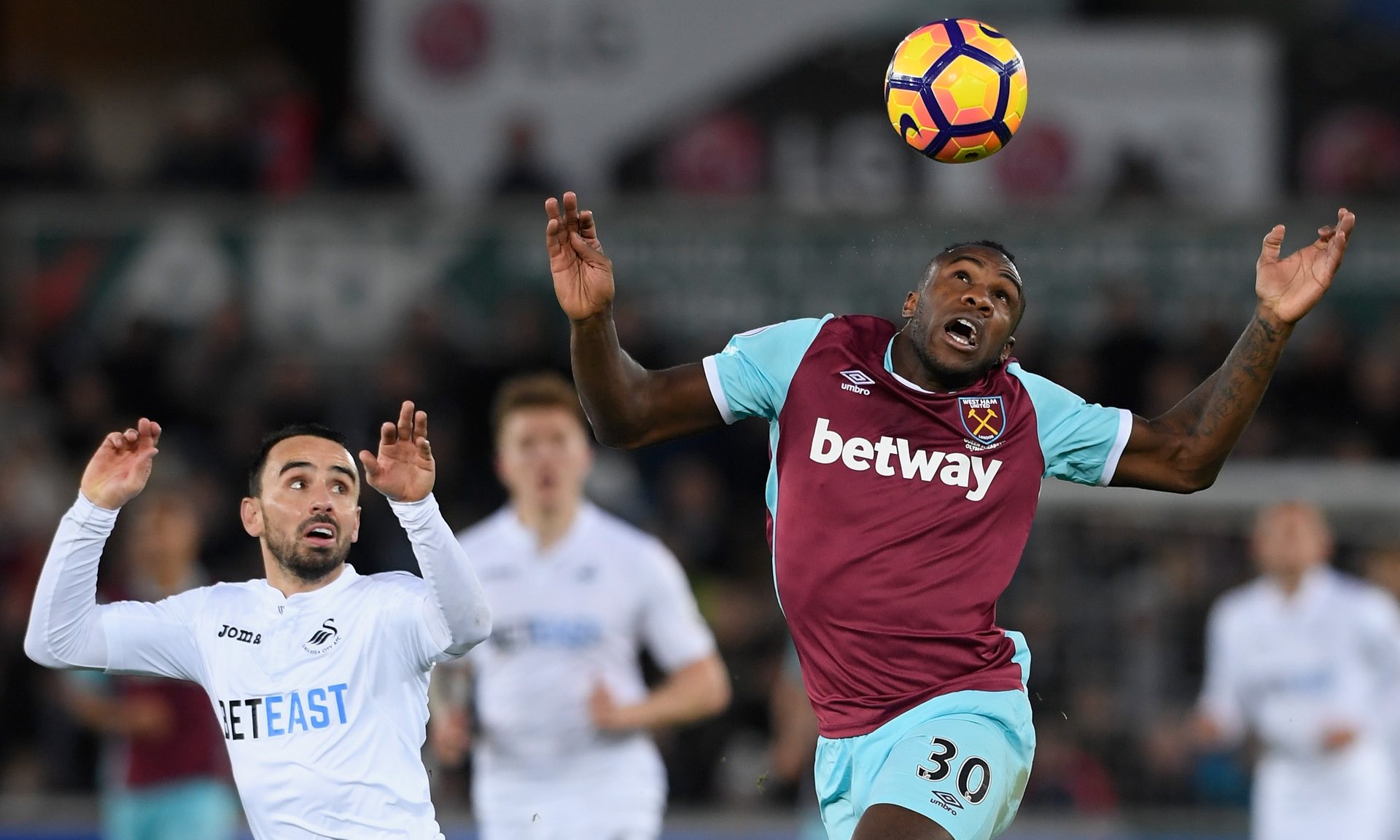 洒着自己的 洒着自己的